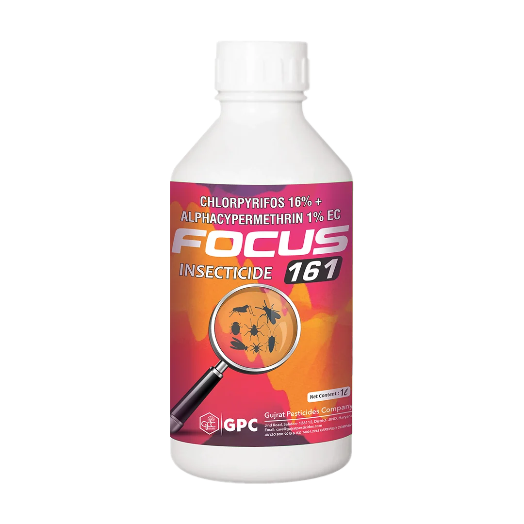 FOCUS-161